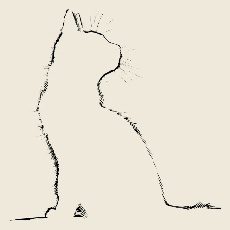 Chat, Motif De Chat