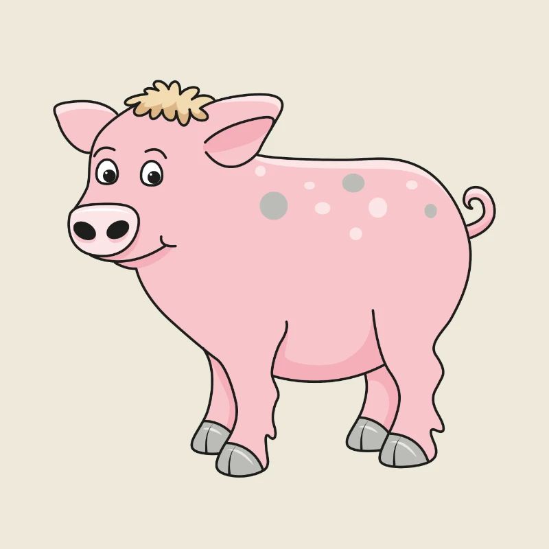 funny pig