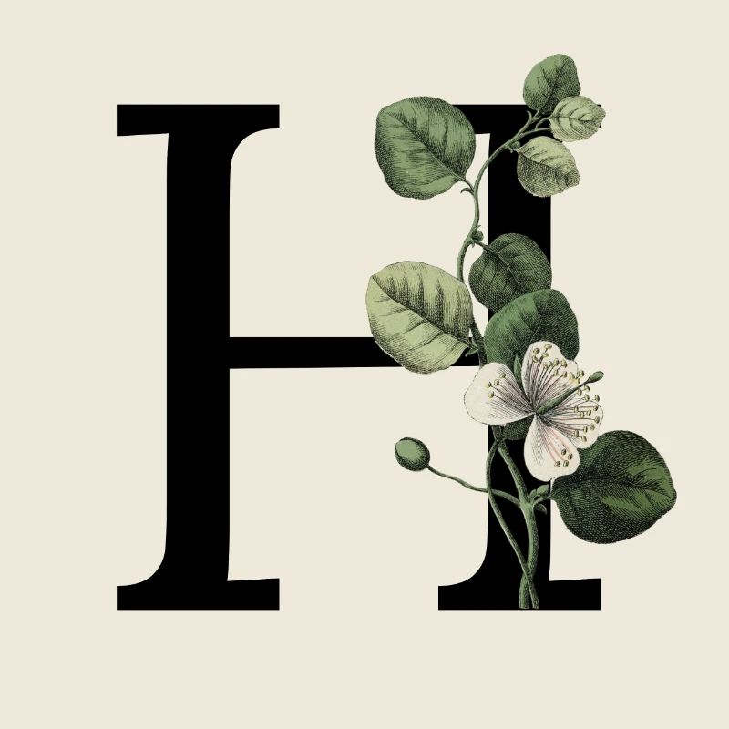 lettre h botanique vert