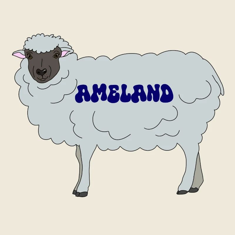 Ameland Sheep