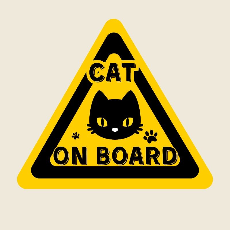 Cat on board - humor