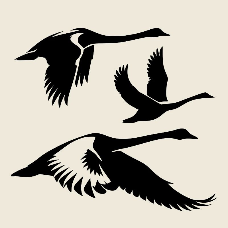 Groupe de cygnes chanteurs volants