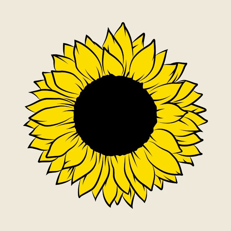 Sonnenblume