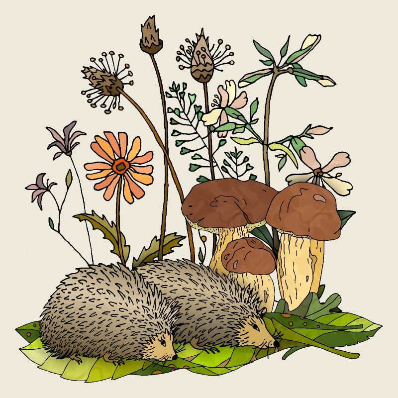 Igel