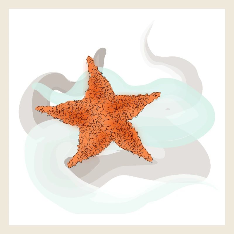Starfish