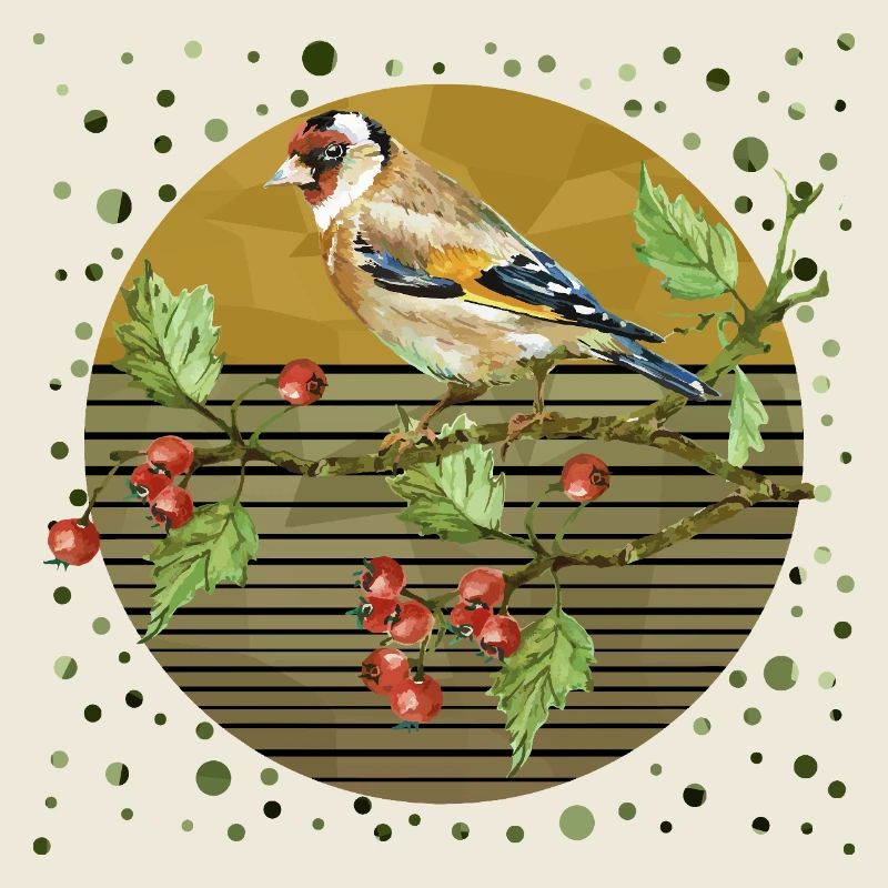 Oiseau coloré