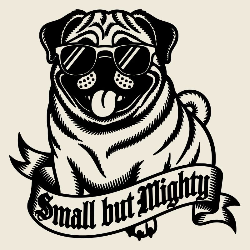 Mops mit der Aufschrift "Klein, aber oho"