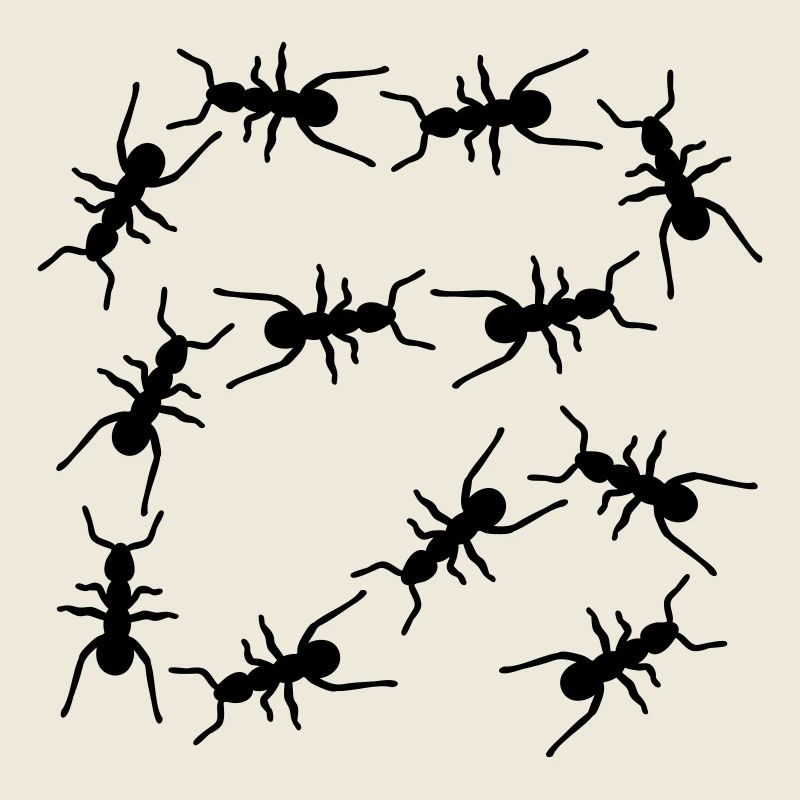 Fourmis