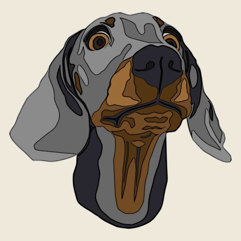 Dachshund, Dachshund