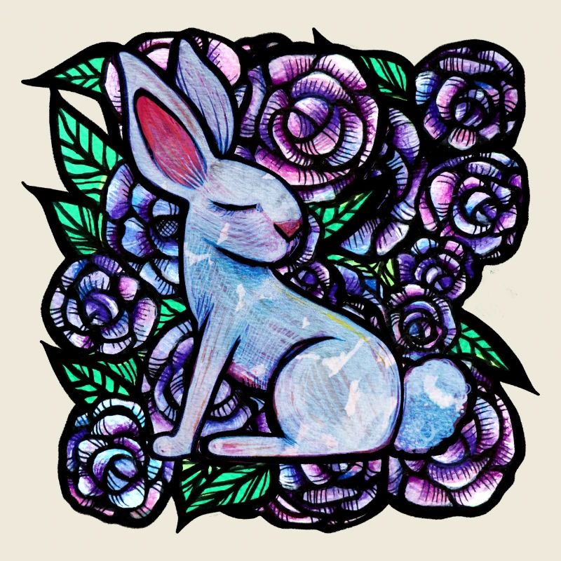 Hase Rose