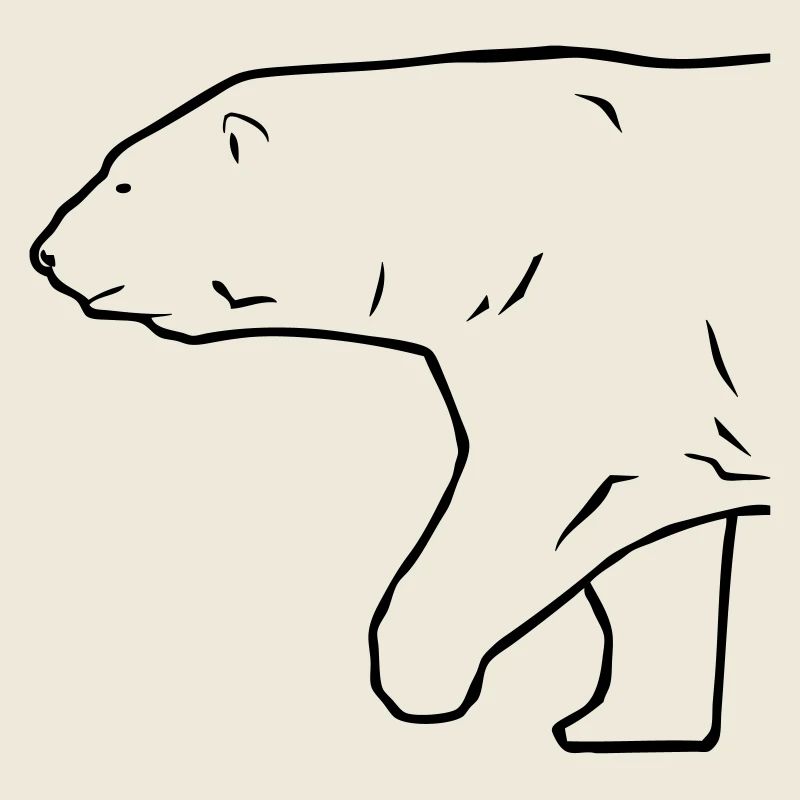 Polar Bear - Eisbär