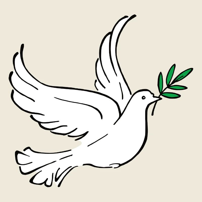 Colombe blanche, colombe de la paix, de la paix, de l’amour