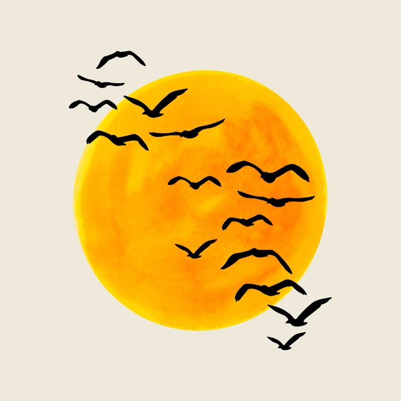 Sunset flock of birds