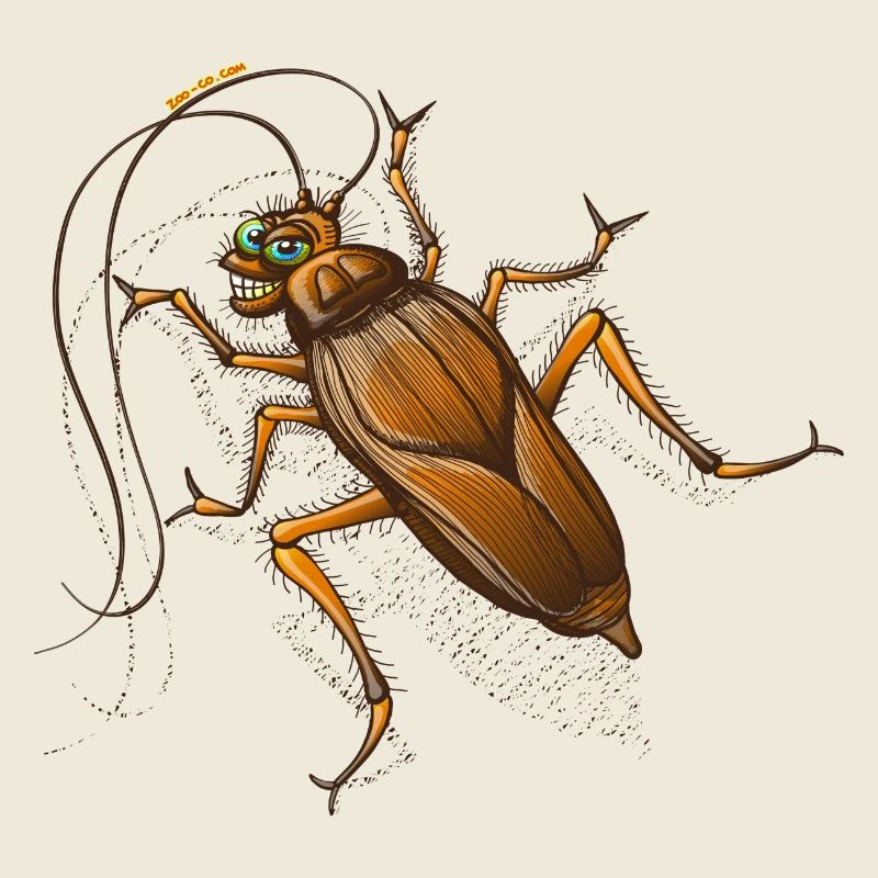 Sexy Cockroach
