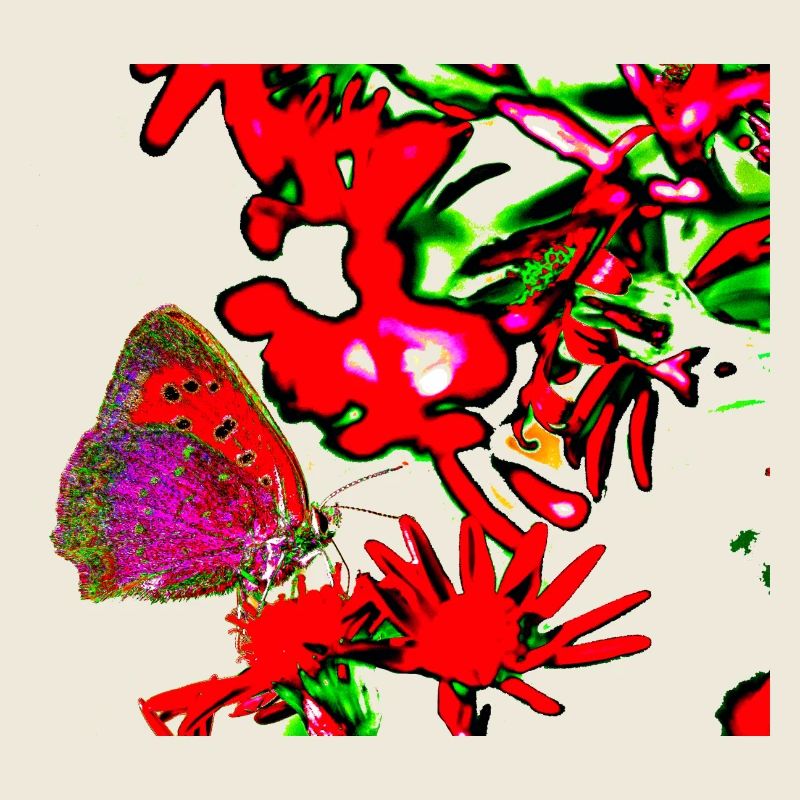 Un papillon en rouge, fleur A732291