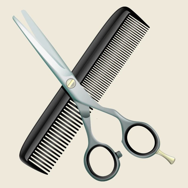 Hairdressing scissors with comb