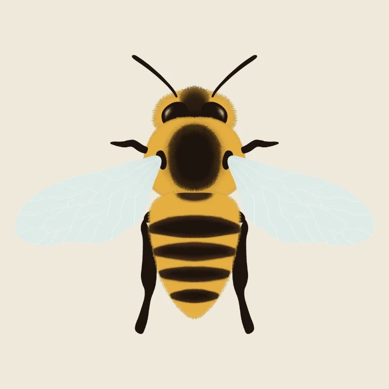 Honigbiene