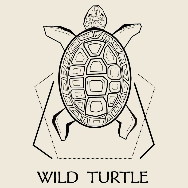 Wild turtle