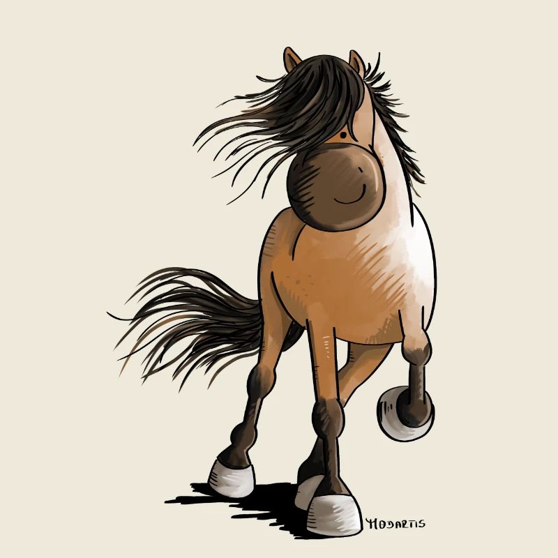 Stürmischer Isländer