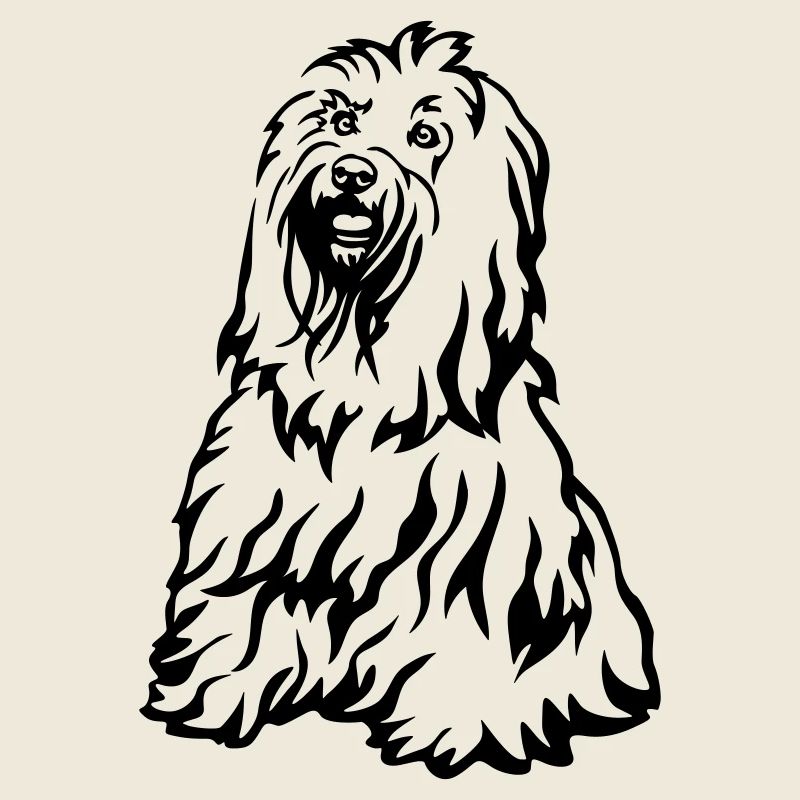 Terrier tibétain