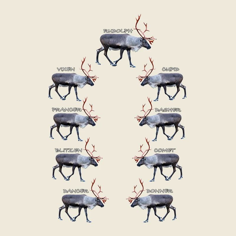 Frosty Reindeer Collection for Winters