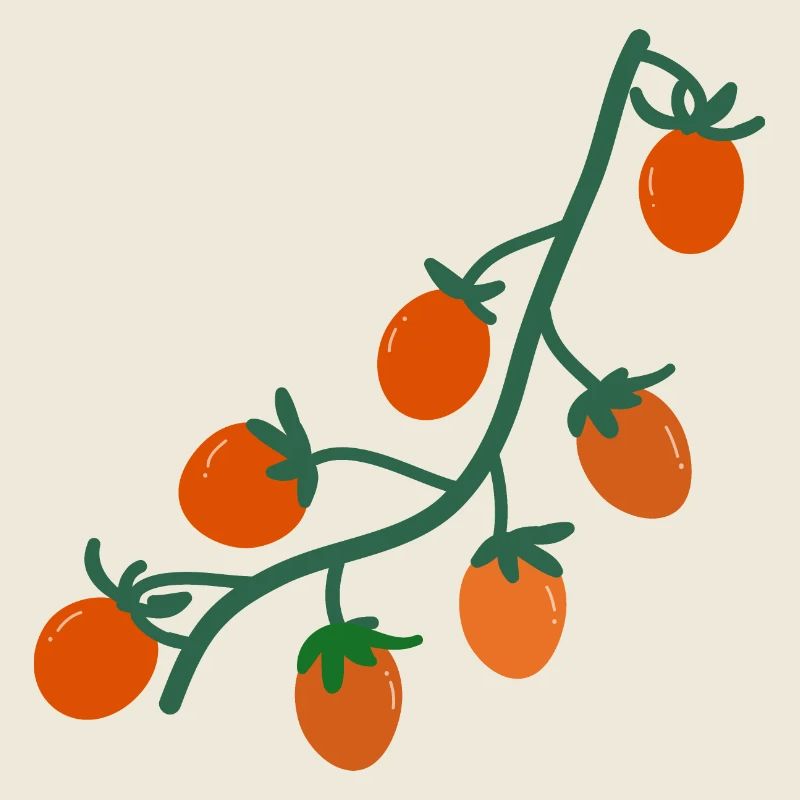 Tomates cerises2