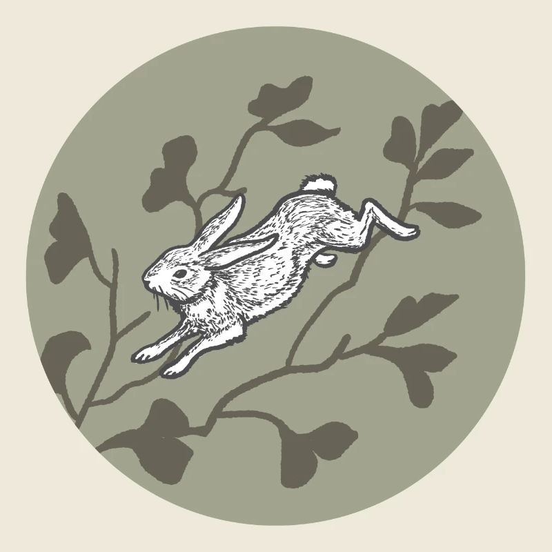 Rabbit on the moon