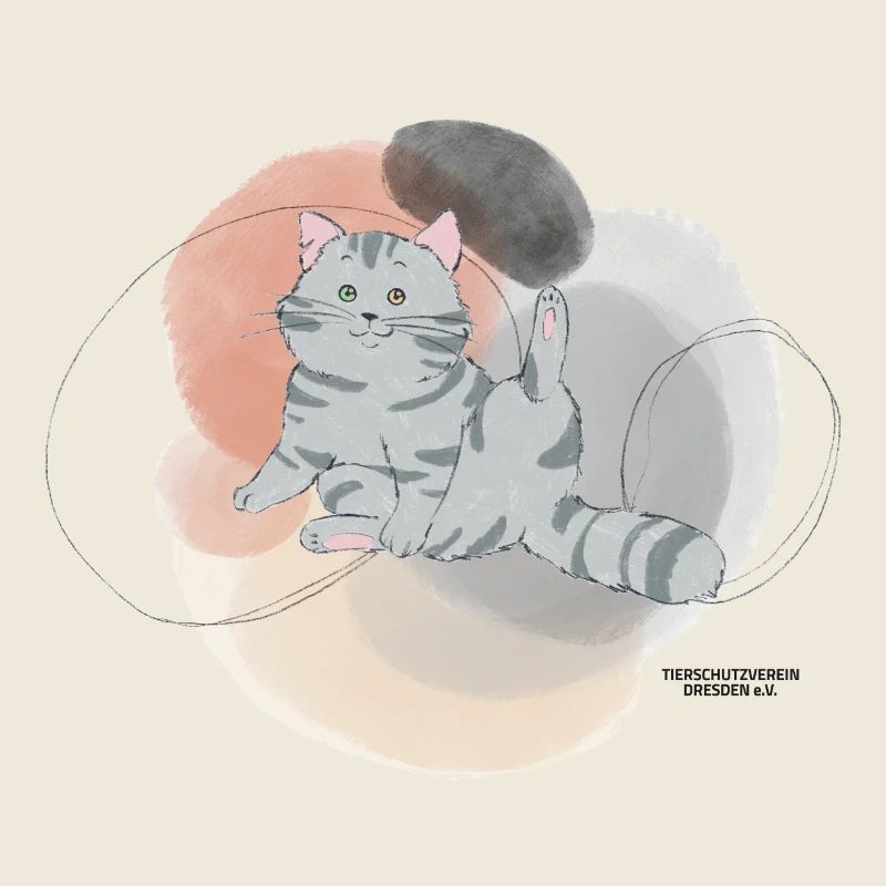 🐾 Grau getigerte Katze🐱