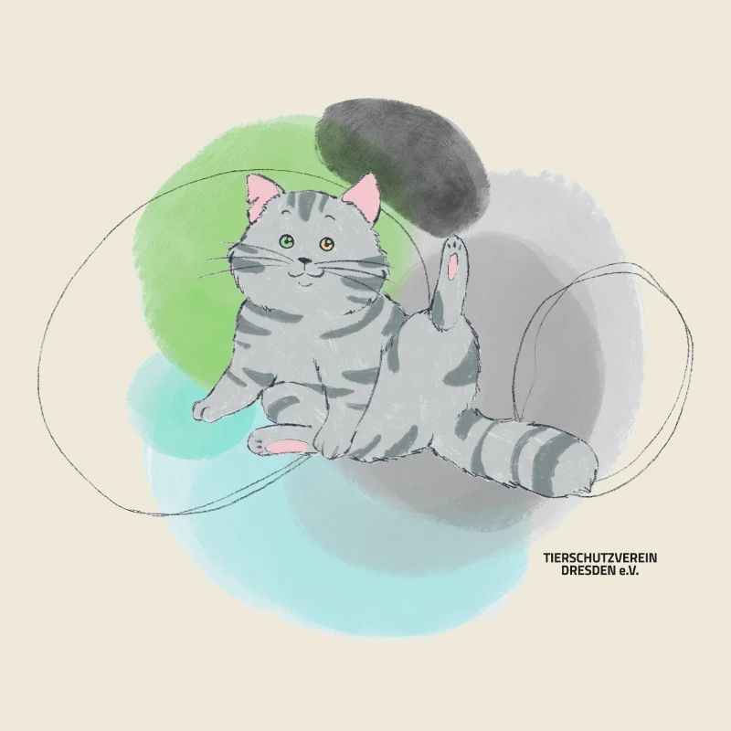 🐾 Grau getigerte Katze🐱Grün Blau