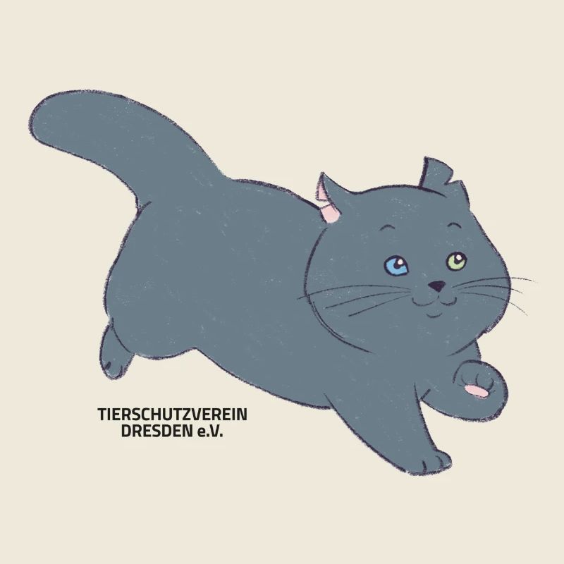 🐾 Schwarze Katze 🐈‍⬛