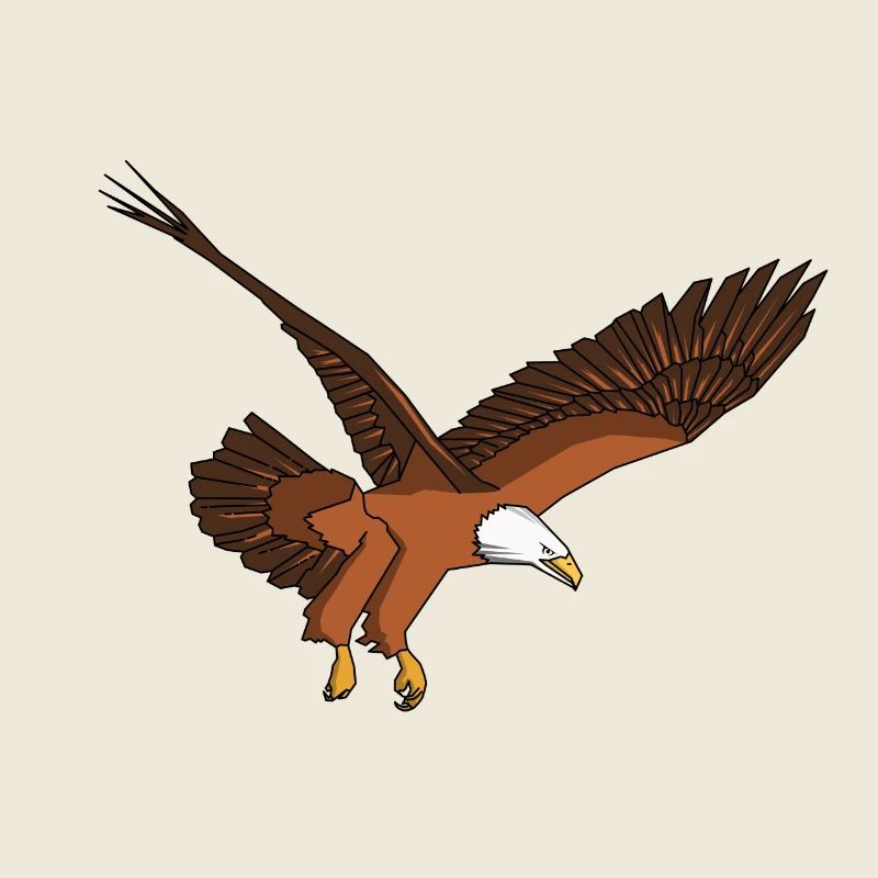 Eagle Adler Weißkopfadler