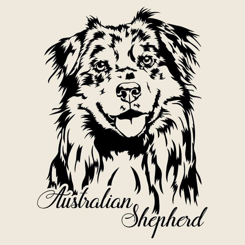 Australian Shepherd Aussie Portrait Hunde Wilsigns
