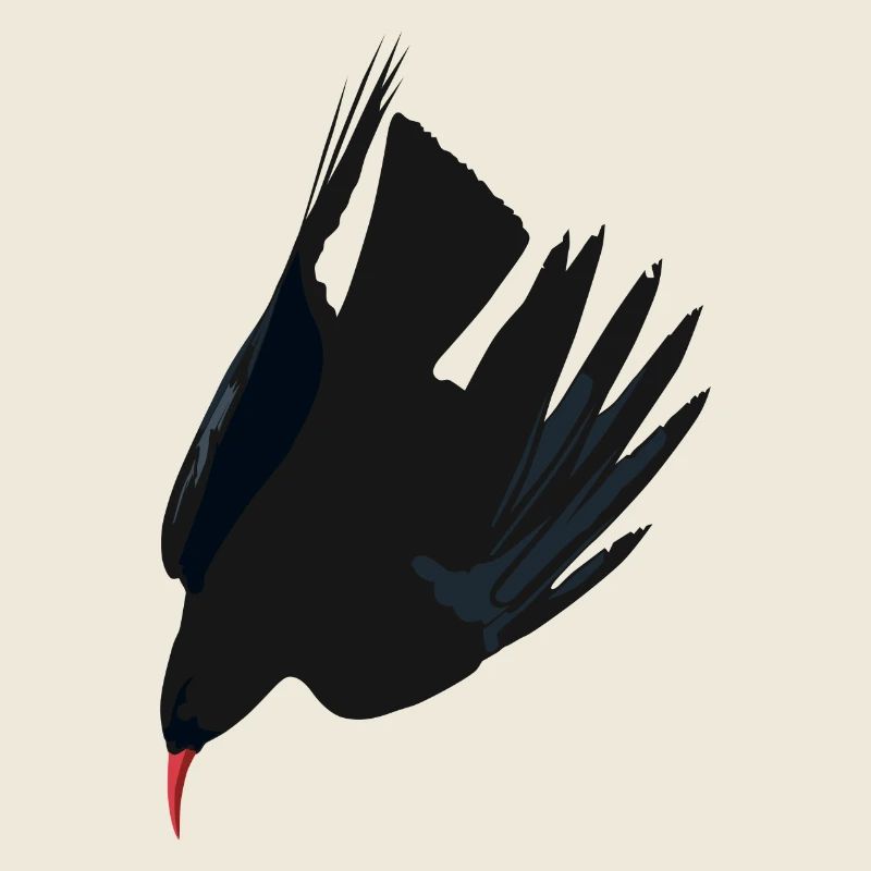 Red-billed Chough 3