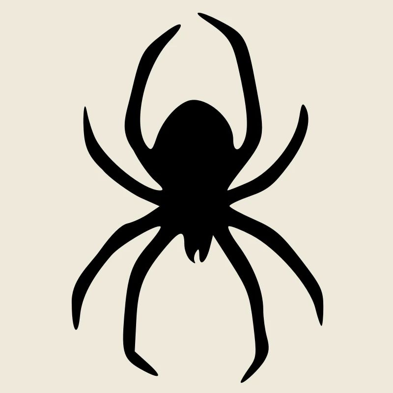 spinne