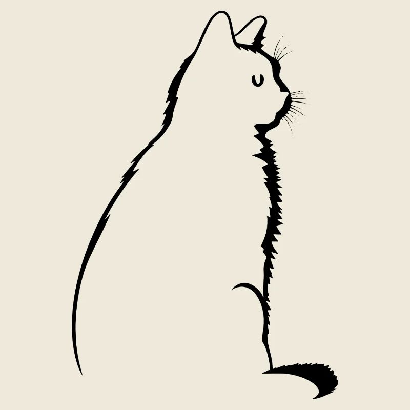 Cat, Cat Motif