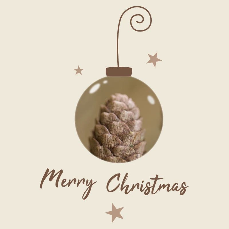 Weihnachtskugel mit Zapfen Weihnachten Ornament