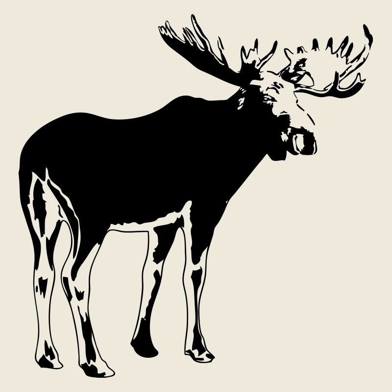 elch - elk - moose - jagd - jäger