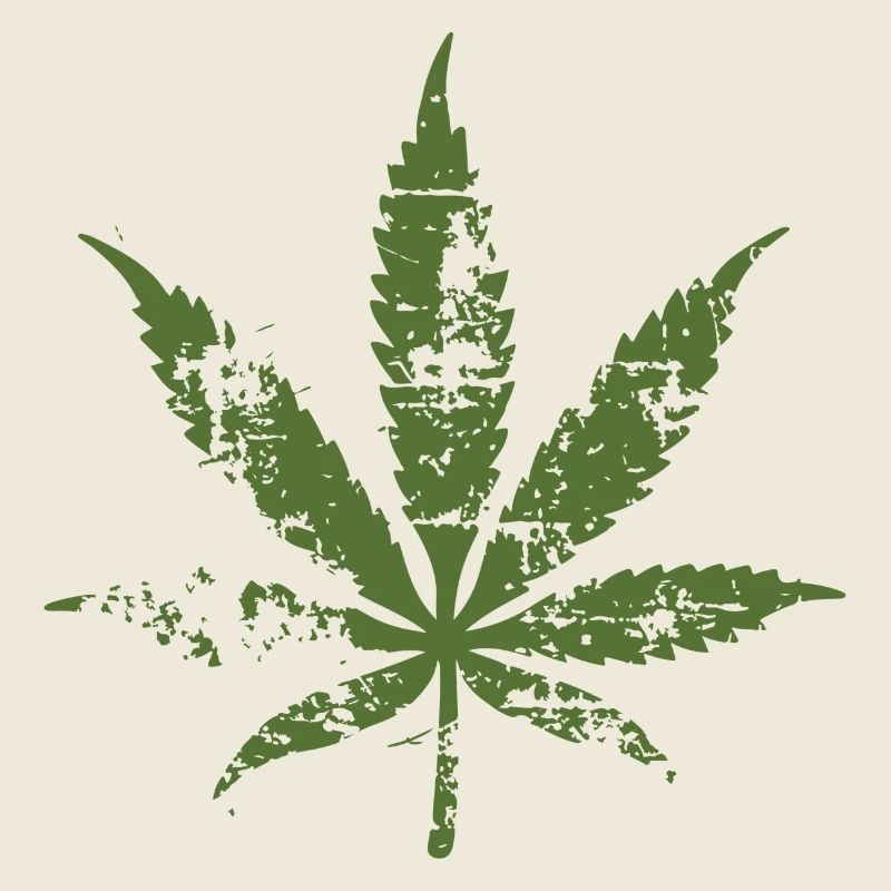 Fumer de l’herbe Cannabis Fumer du cannabis Trip Dream Joint