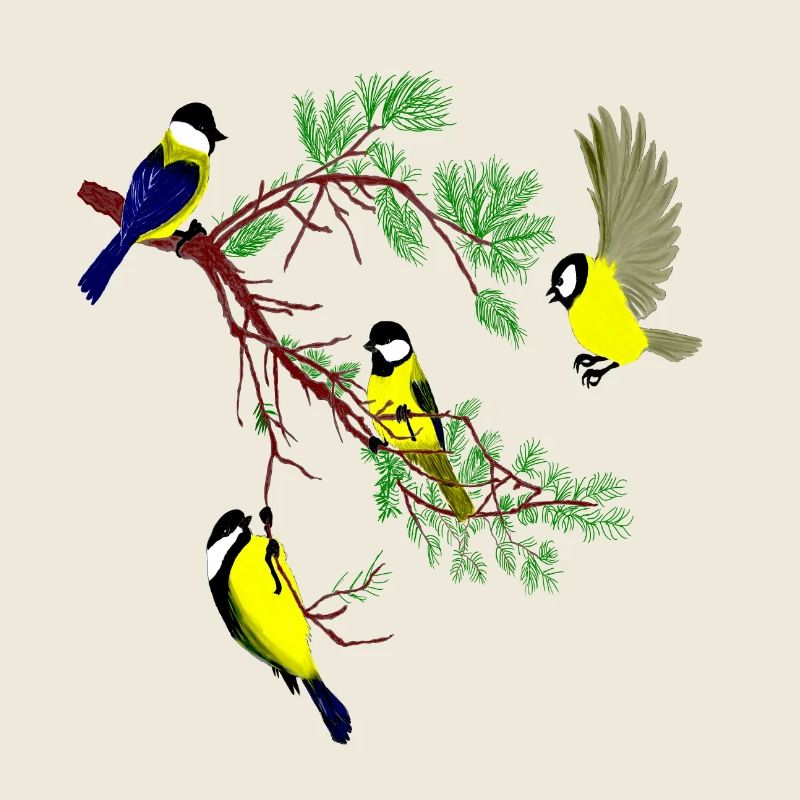 Vögel23