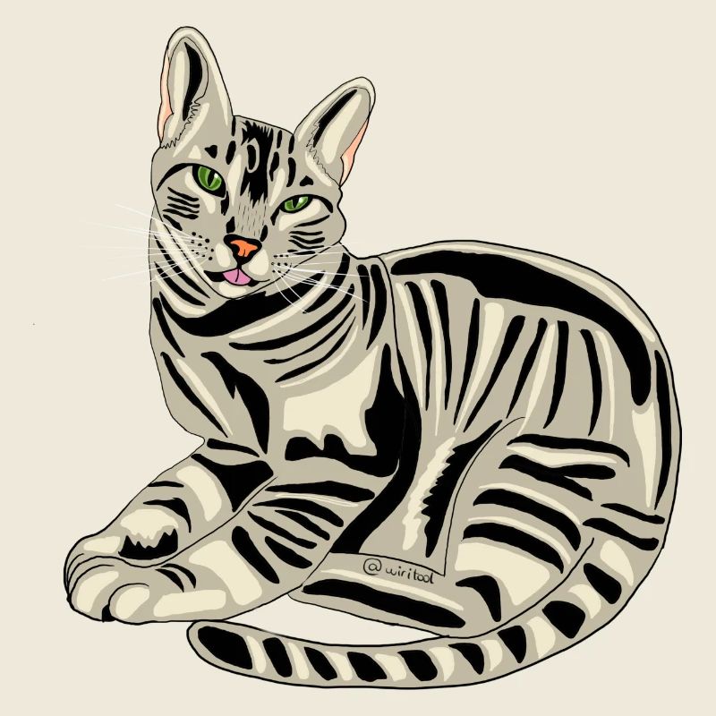 König getigertes Kätzchen