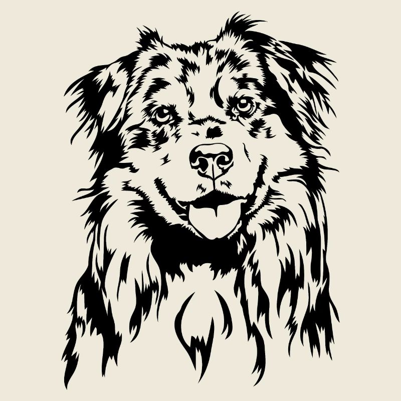 Australian Shepherd Aussie Portrait Dogs Wilsigns