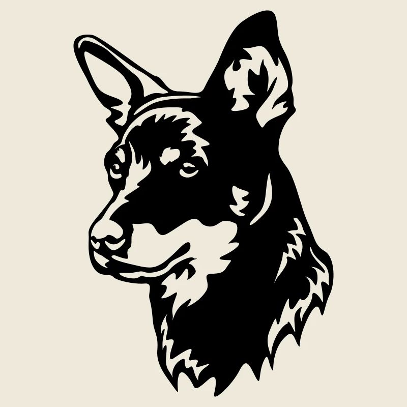 Lancashire Heeler Kopf