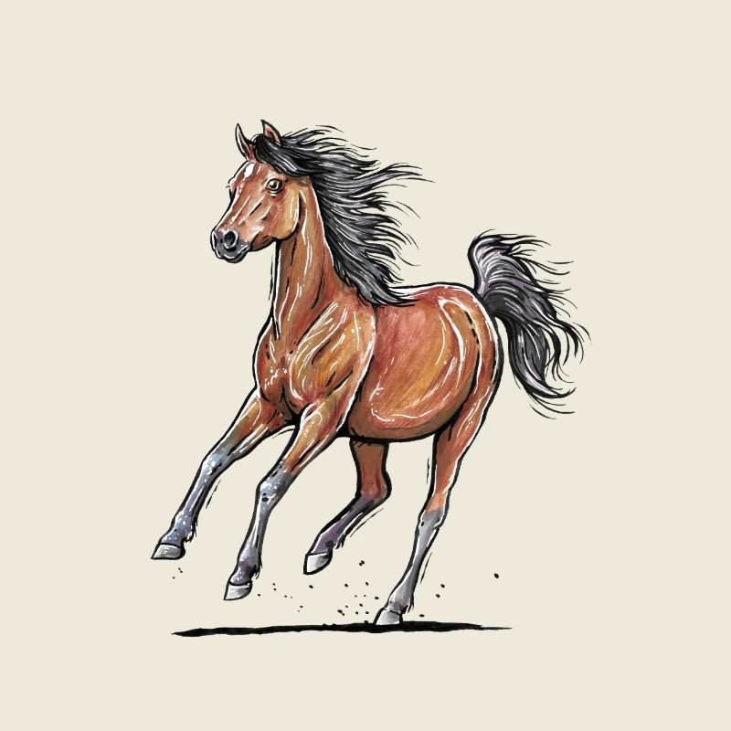 Braunes Pferd Galopp