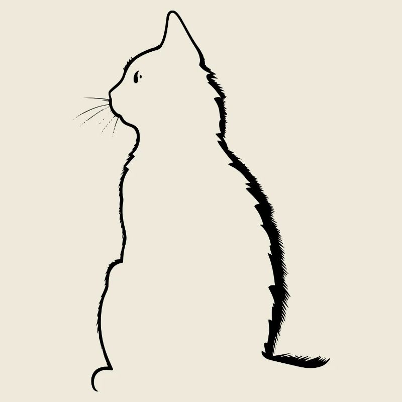 Chat, Motif De Chat