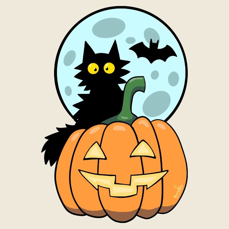 Katze auf Kürbis
