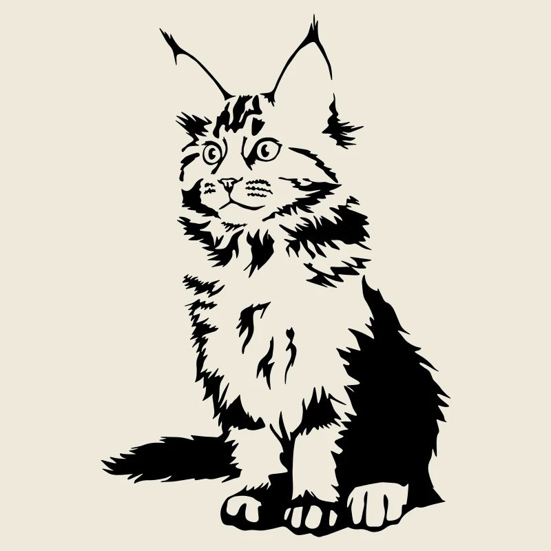 Maine Coon Katze