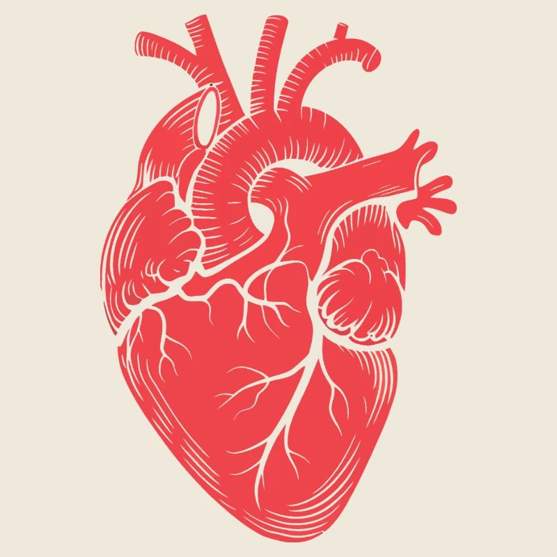 Anatomisches Herz Motiv Rot