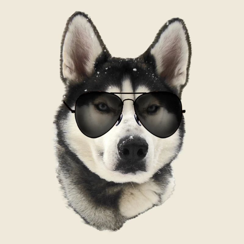 Husky Sunglasses Style