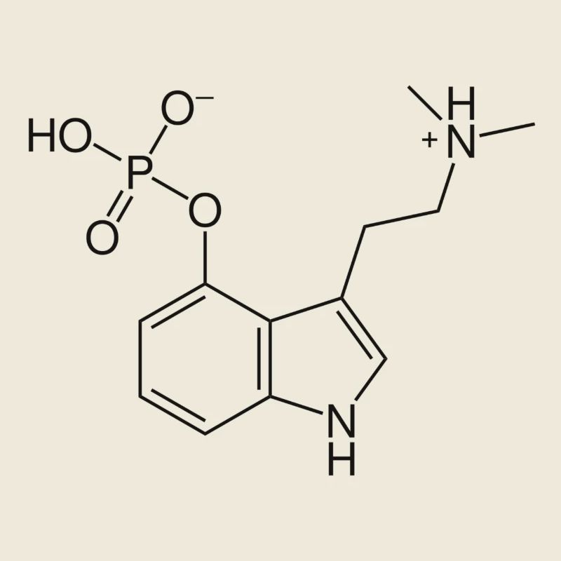 Psylocibin Droge