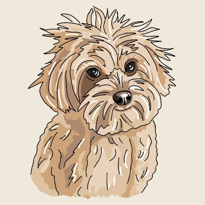 Havanese